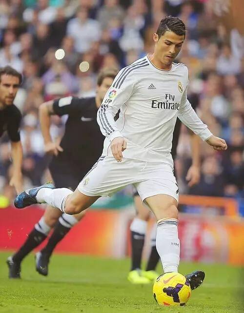 背部摆动 背部摆动